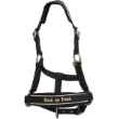 Picture of BACK ON TRACK EQUINE REFLECTIVE WERANO HALTER COB