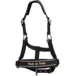 Picture of BACK ON TRACK EQUINE REFLECTIVE WERANO HALTER COB