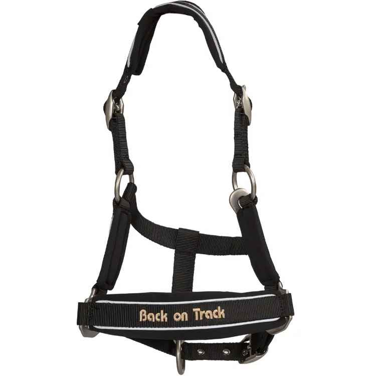 Picture of BACK ON TRACK EQUINE REFLECTIVE WERANO HALTER COB