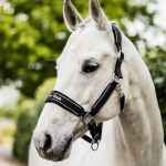 Picture of BACK ON TRACK EQUINE REFLECTIVE WERANO HALTER COB