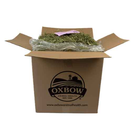 Picture of OXBOW WESTERN TIMOTHY HAY - 40lb