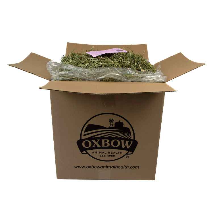 Picture of OXBOW WESTERN TIMOTHY HAY - 40lb