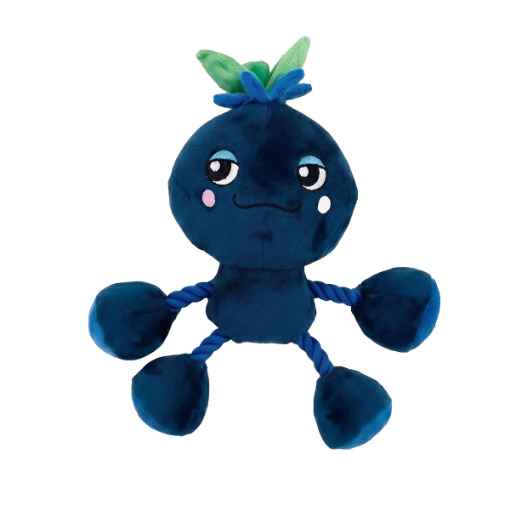 Picture of TOY DOG SILVER PAW ROPEZ FRUIT FRIENDS - Blue