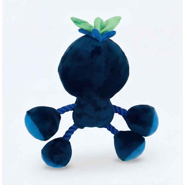 Picture of TOY DOG SILVER PAW ROPEZ FRUIT FRIENDS - Blue