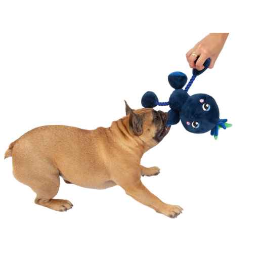 Picture of TOY DOG SILVER PAW ROPEZ FRUIT FRIENDS - Blue