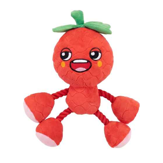 Picture of TOY DOG SILVER PAW ROPEZ FRUIT FRIENDS - Red