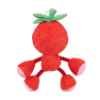 Picture of TOY DOG SILVER PAW ROPEZ FRUIT FRIENDS - Red