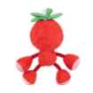 Picture of TOY DOG SILVER PAW ROPEZ FRUIT FRIENDS - Red