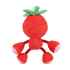 Picture of TOY DOG SILVER PAW ROPEZ FRUIT FRIENDS - Red