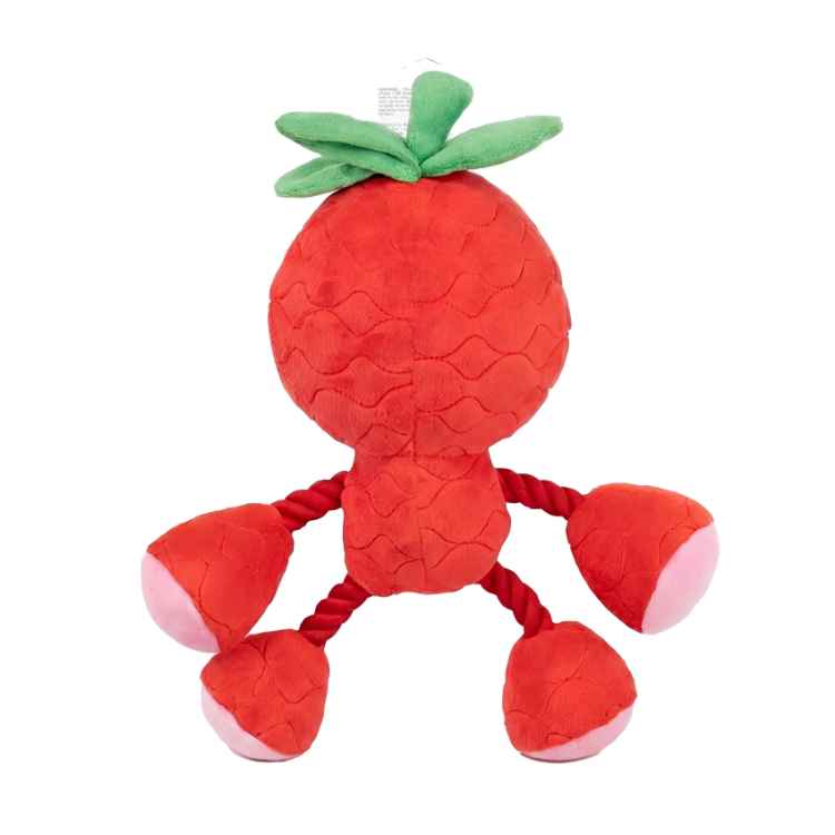 Picture of TOY DOG SILVER PAW ROPEZ FRUIT FRIENDS - Red