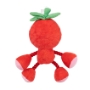 Picture of TOY DOG SILVER PAW ROPEZ FRUIT FRIENDS - Red