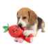 Picture of TOY DOG SILVER PAW ROPEZ FRUIT FRIENDS - Red