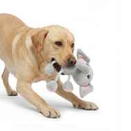 Picture of TOY DOG SILVER PAW ROPEZ JUNGLE FRIENDS - Elephant