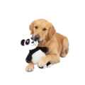 Picture of TOY DOG SILVER PAW JUNGLE FRIENDS - Panda