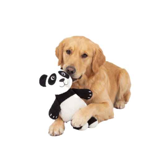 Picture of TOY DOG SILVER PAW JUNGLE FRIENDS - Panda