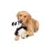 Picture of TOY DOG SILVER PAW JUNGLE FRIENDS - Panda