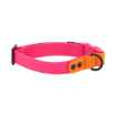 Picture of COLLAR CANINE RC WATERPROOF Adjustable Azalea/Orange