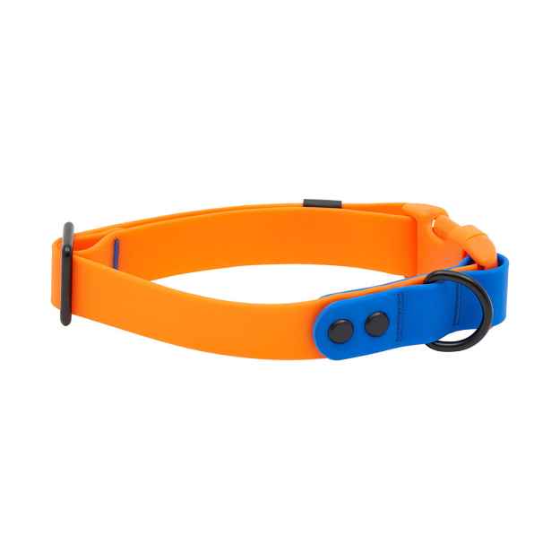 Picture of COLLAR CANINE RC WATERPROOF Adjustable Orange/Sapphire
