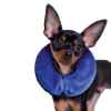 Picture of KONG CLOUD COLLAR Inflatable (Neck Circ 6-8in) - X Sm
