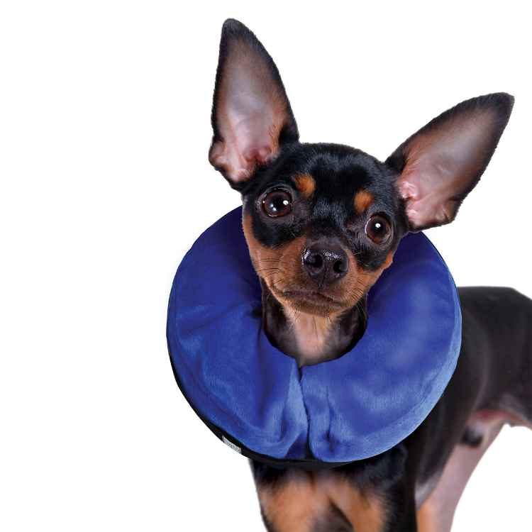 Picture of KONG CLOUD COLLAR Inflatable (Neck Circ 6-8in) - X Sm
