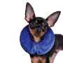 Picture of KONG CLOUD COLLAR Inflatable (Neck Circ 6-8in) - X Sm