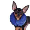 Picture of KONG CLOUD COLLAR Inflatable(Neck Circ 7-12in) - Sm