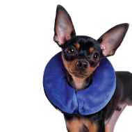 Picture of KONG CLOUD COLLAR Inflatable(Neck Circ 7-12in) - Sm
