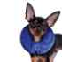 Picture of KONG CLOUD COLLAR Inflatable(Neck Circ 7-12in) - Sm