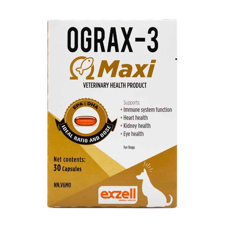 Picture of OGRAX-3 MAXI SFT - 30s