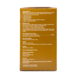 Picture of OGRAX-3 MAXI SFT - 30s