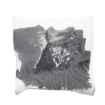 Picture of ALLFLEX  A-TAG FEEDLOT V2 one piece BLACK BLANK - 50/bag