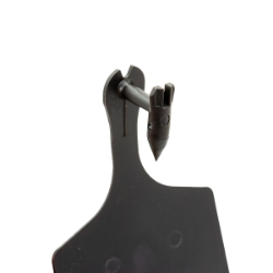 Picture of ALLFLEX  A-TAG FEEDLOT V2 one piece BLACK BLANK - 50/bag