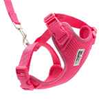 Picture of LEAD AND HARNESS COMBO FELINE RC ADVENTURE KITTY Medium - Azalea