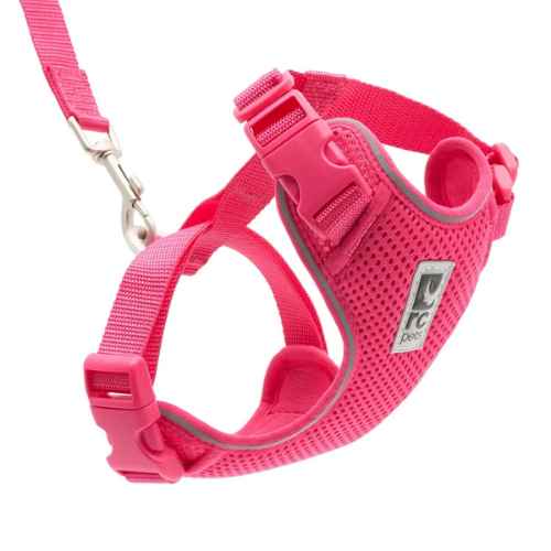 Picture of LEAD AND HARNESS COMBO FELINE RC ADVENTURE KITTY Medium - Azalea