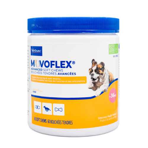 Picture of MOVOFLEX ADVANCED SOFT CHEWS over 36kg - 60s