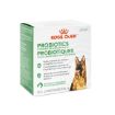 Picture of CANINE RC PROBIOTIC DIGESTIVE & IMMUNE HEALTH - 30 x 1gm (su24)