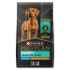 Picture of CANINE PRO PLAN PUPPY LARGE BREED CHICKEN - 8.16kg