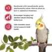 Picture of LIVING WORLD COCKATIEL FRUIT STICK 90g/3.2oz -  2/pk