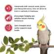 Picture of LIVING WORLD COCKATIEL FRUIT STICK 90g/3.2oz -  2/pk