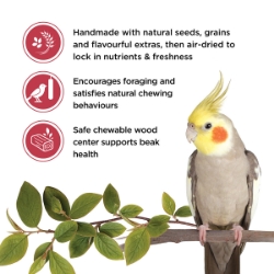 Picture of LIVING WORLD COCKATIEL FRUIT STICK 2/pk – 90g/3.2oz