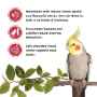 Picture of LIVING WORLD COCKATIEL FRUIT STICK 90g/3.2oz -  2/pk