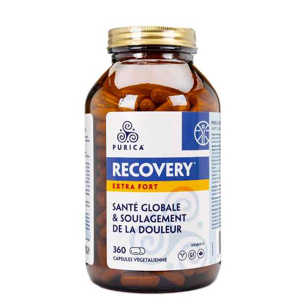 Picture of RECOVERY NUTRACEUTICAL XSTRENGTH POWDER (HUMAN GRADE) - 350gm