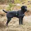 Picture of BACK ON TRACK DOG BARK COAT BLACK 45cm