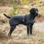 Picture of BACK ON TRACK DOG BARK COAT BLACK 45cm