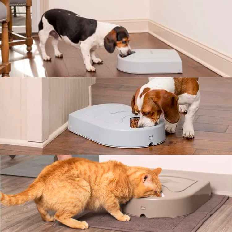 Picture of PET FEEDER PETSAFE ELECTRONIC 5 MEAL FEEDER