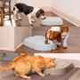 Picture of PET FEEDER PETSAFE ELECTRONIC 5 MEAL FEEDER