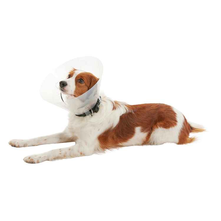 Picture of BUSTER CLIC CLEAR COLLAR (273481) - 10cm
