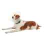 Picture of BUSTER CLIC CLEAR COLLAR (273482) - 12.5cm