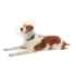 Picture of BUSTER CLIC CLEAR COLLAR (J0047H) - 40cm