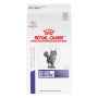 Picture of FELINE RC DENTAL - 2.5kg